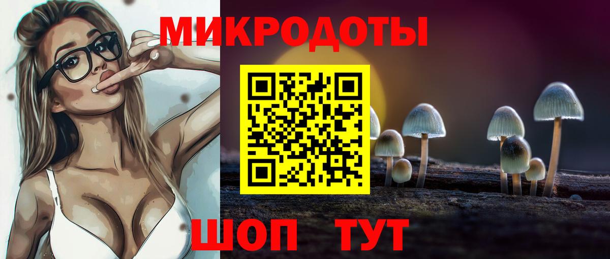 Галлюциногенные грибы Psilocybe  Вход с VPN  Галлюциногенные грибы MAGIC MUSHROOMS  купить наркотики сайты  Татарск 