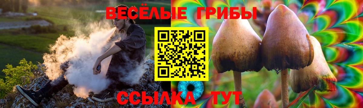 Галлюциногенные грибы мухоморы Татарск